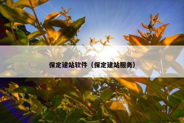 保定建站软件（保定建站服务）