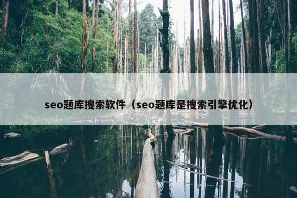 seo题库搜索软件（seo题库是搜索引擎优化）