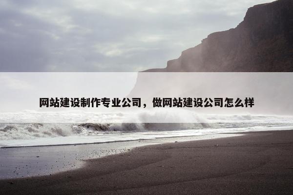 网站建设制作专业公司，做网站建设公司怎么样