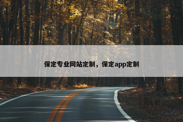 保定专业网站定制，保定app定制