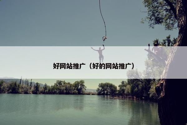 好网站推广（好的网站推广）