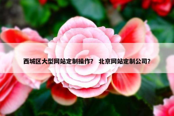 西城区大型网站定制操作？ 北京网站定制公司？