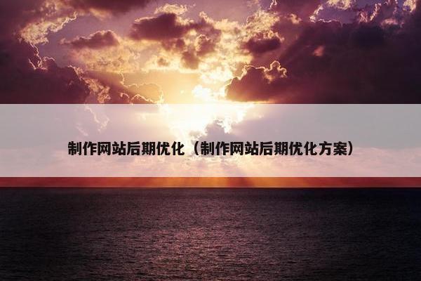 制作网站后期优化（制作网站后期优化方案）