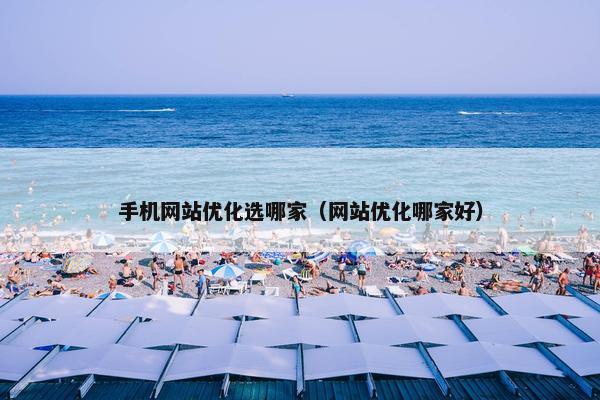 手机网站优化选哪家（网站优化哪家好）
