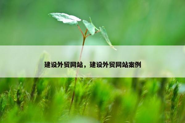 建设外贸网站，建设外贸网站案例