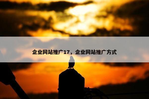 企业网站推广17，企业网站推广方式