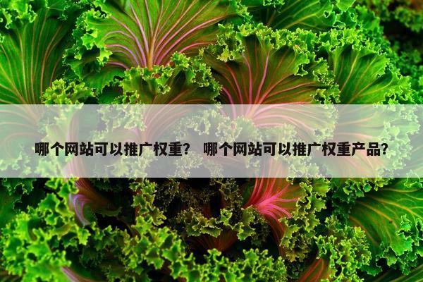 哪个网站可以推广权重？ 哪个网站可以推广权重产品？