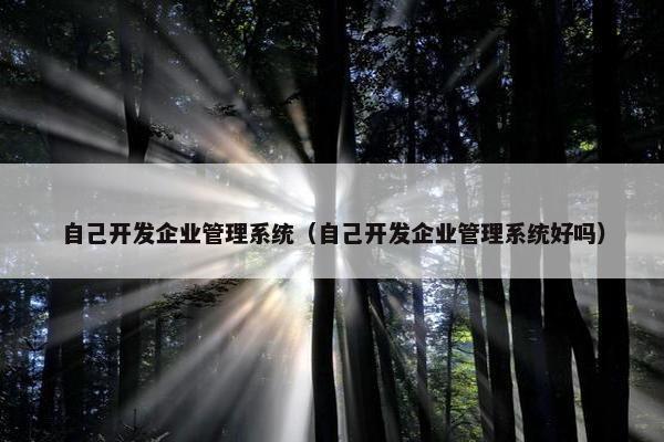 自己开发企业管理系统（自己开发企业管理系统好吗）