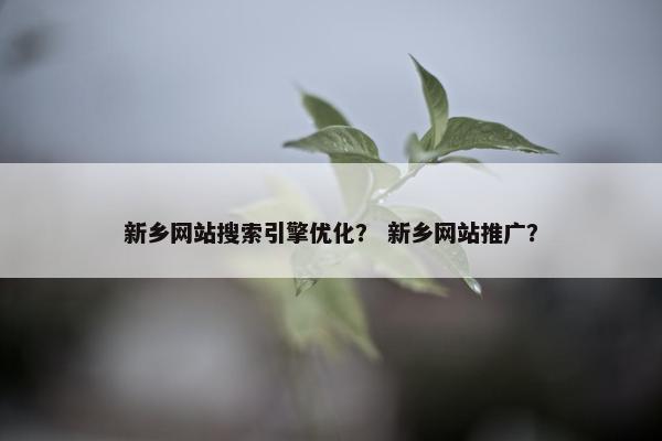 新乡网站搜索引擎优化？ 新乡网站推广？
