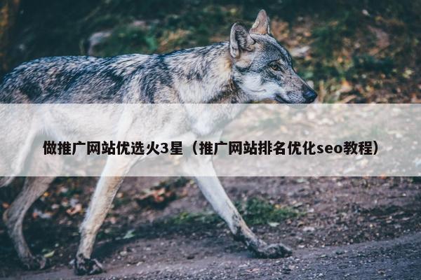 做推广网站优选火3星（推广网站排名优化seo教程）