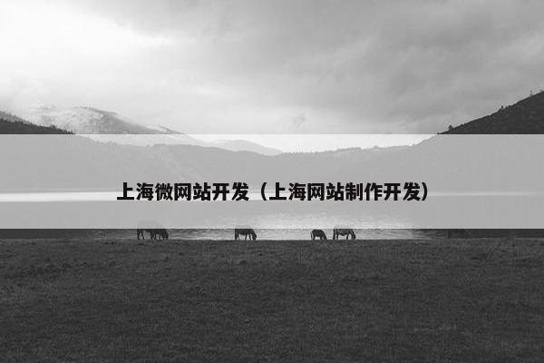 上海微网站开发（上海网站制作开发）