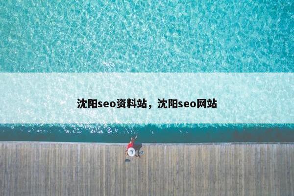 沈阳seo资料站，沈阳seo网站