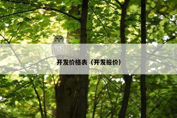 开发价格表（开发报价）