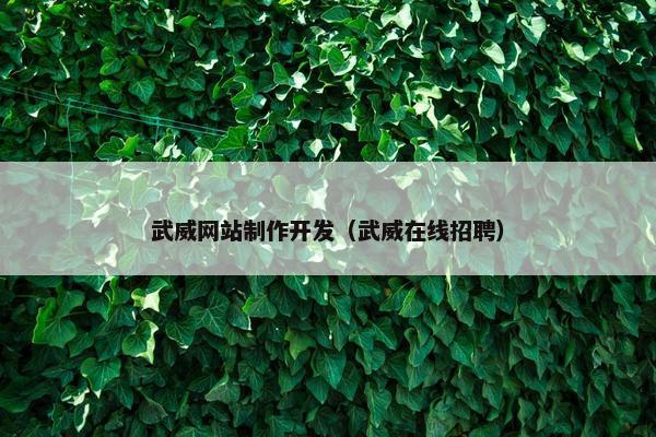 武威网站制作开发（武威在线招聘）