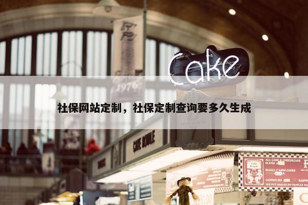 社保网站定制，社保定制查询要多久生成