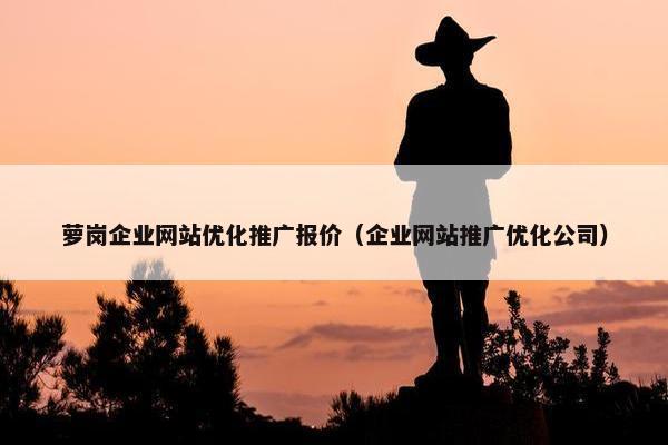 萝岗企业网站优化推广报价（企业网站推广优化公司）