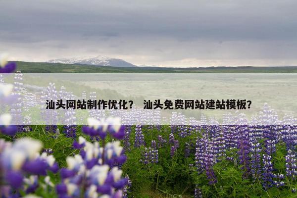汕头网站制作优化？ 汕头免费网站建站模板？