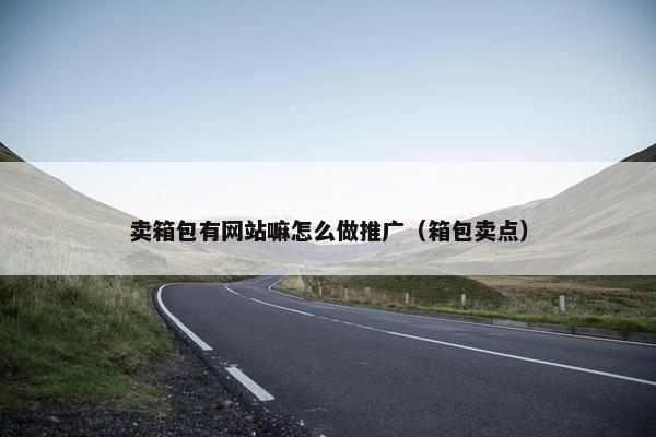 卖箱包有网站嘛怎么做推广（箱包卖点）