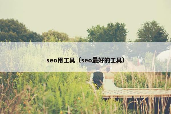 seo用工具（seo最好的工具）