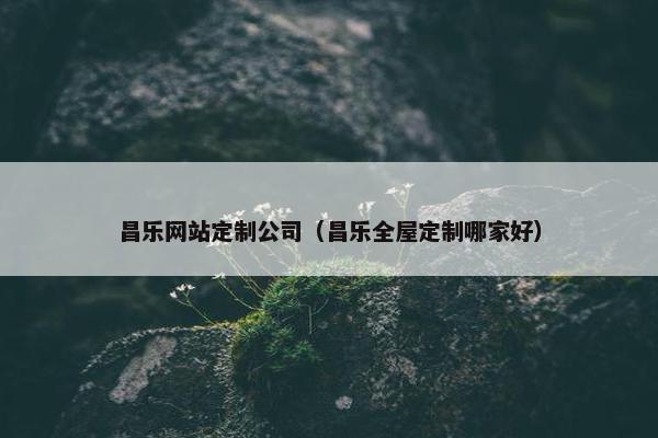 昌乐网站定制公司（昌乐全屋定制哪家好）