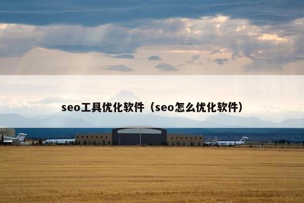 seo工具优化软件（seo怎么优化软件）