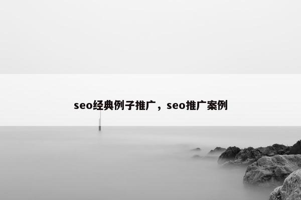 seo经典例子推广，seo推广案例