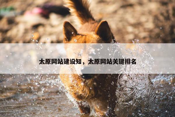 太原网站建设知，太原网站关键排名
