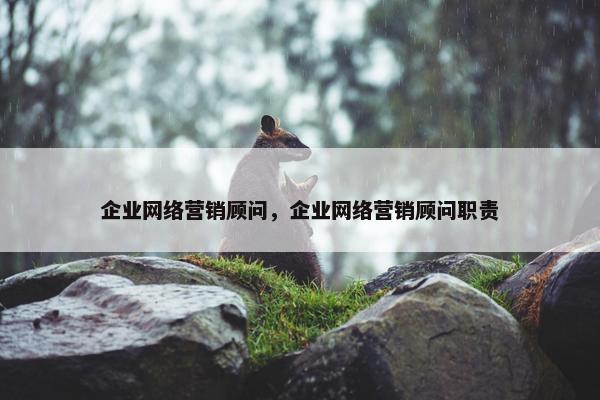 企业网络营销顾问，企业网络营销顾问职责