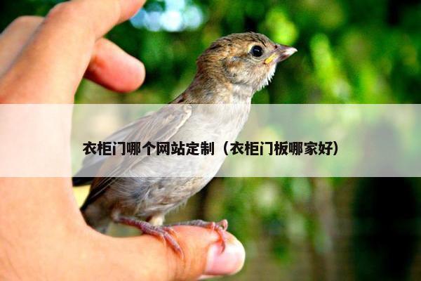 衣柜门哪个网站定制（衣柜门板哪家好）