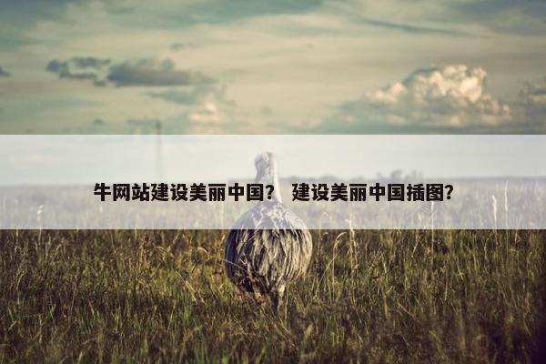 牛网站建设美丽中国？ 建设美丽中国插图？