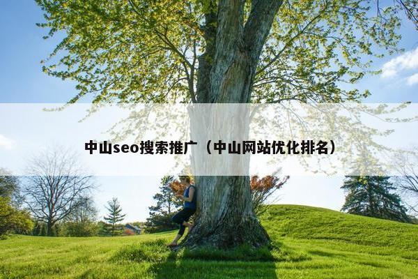中山seo搜索推广（中山网站优化排名）