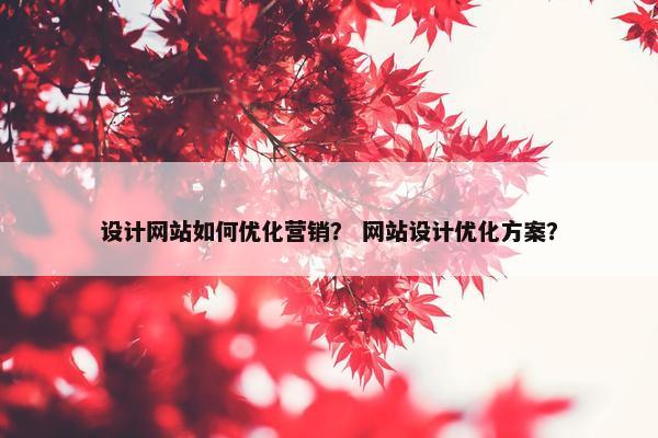 设计网站如何优化营销？ 网站设计优化方案？