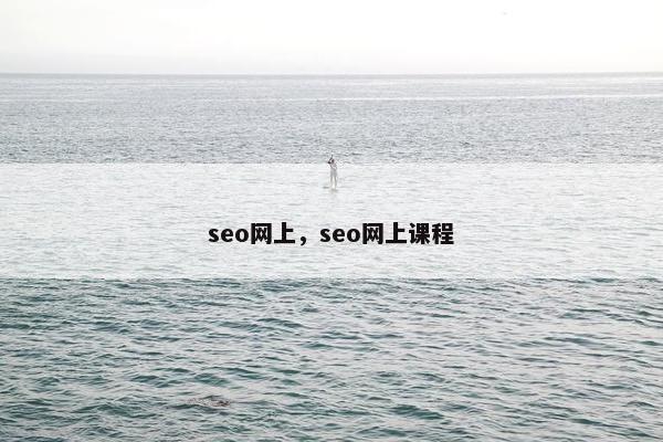 seo网上，seo网上课程