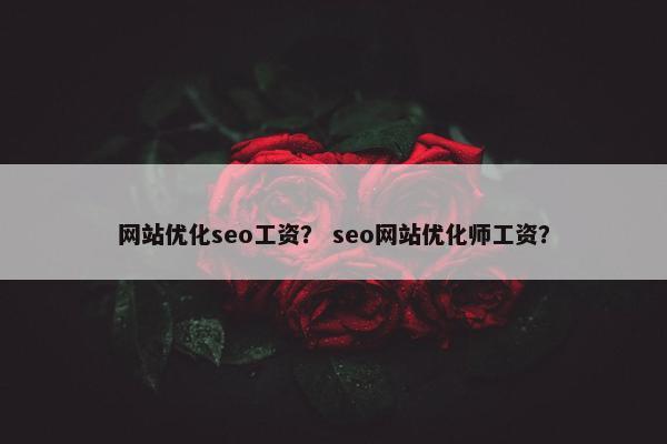 网站优化seo工资？ seo网站优化师工资？