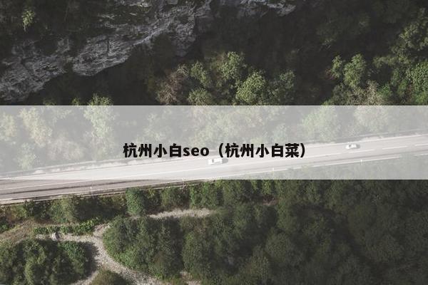 杭州小白seo（杭州小白菜）