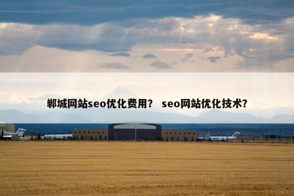 郸城网站seo优化费用？ seo网站优化技术？
