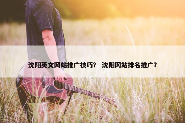 沈阳英文网站推广技巧？ 沈阳网站排名推广？