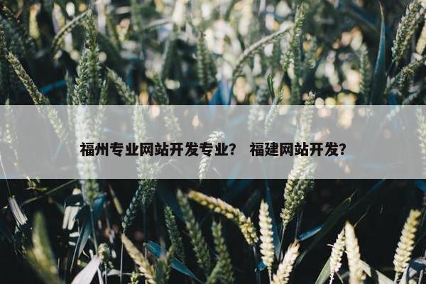 福州专业网站开发专业？ 福建网站开发？