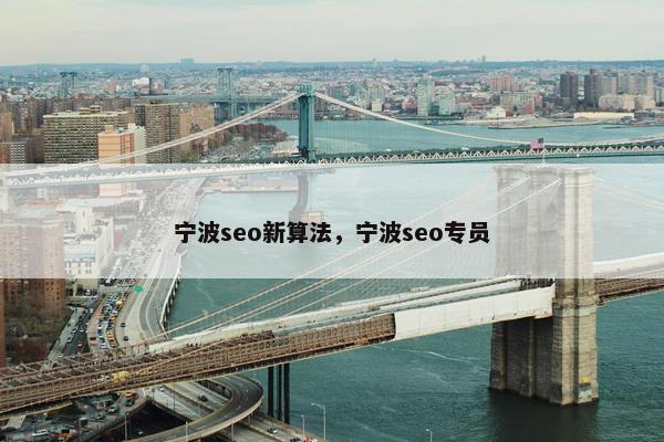 宁波seo新算法，宁波seo专员