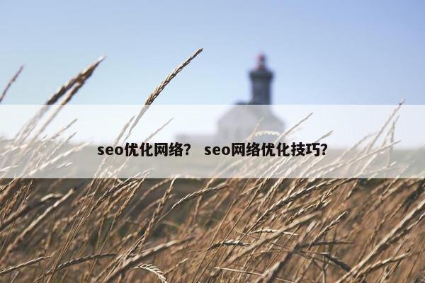 seo优化网络？ seo网络优化技巧？