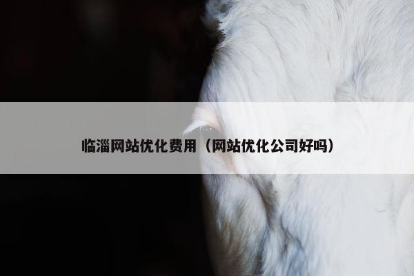 临淄网站优化费用（网站优化公司好吗）