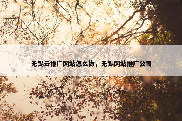 无锡云推广网站怎么做，无锡网站推广公司