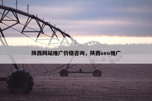 陕西网站推广价格咨询，陕西seo推广