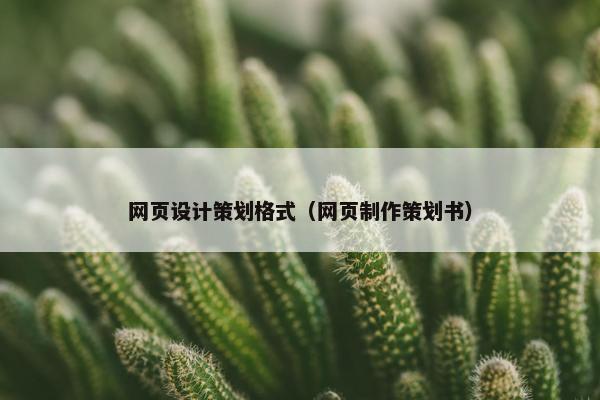 网页设计策划格式（网页制作策划书）