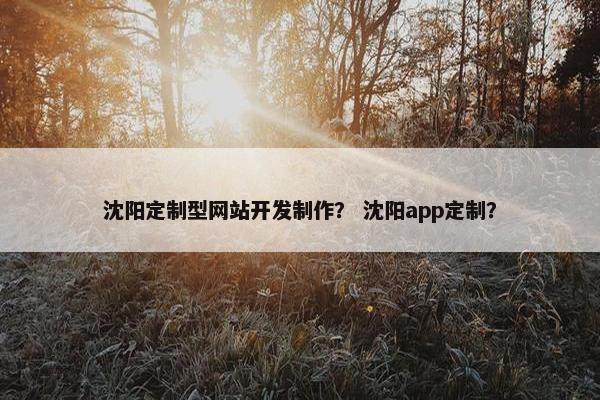 沈阳定制型网站开发制作？ 沈阳app定制？
