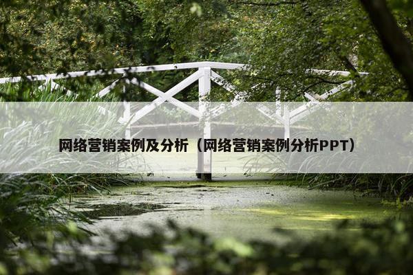 网络营销案例及分析（网络营销案例分析PPT）