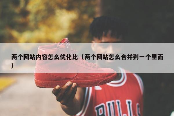 两个网站内容怎么优化比（两个网站怎么合并到一个里面）