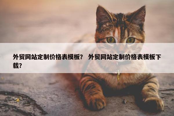 外贸网站定制价格表模板？ 外贸网站定制价格表模板下载？