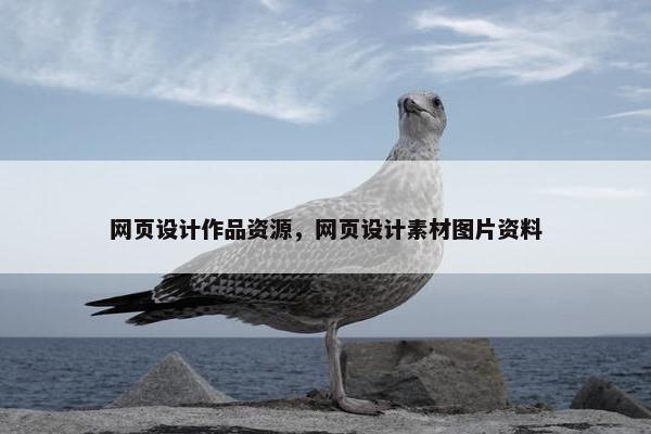 网页设计作品资源，网页设计素材图片资料
