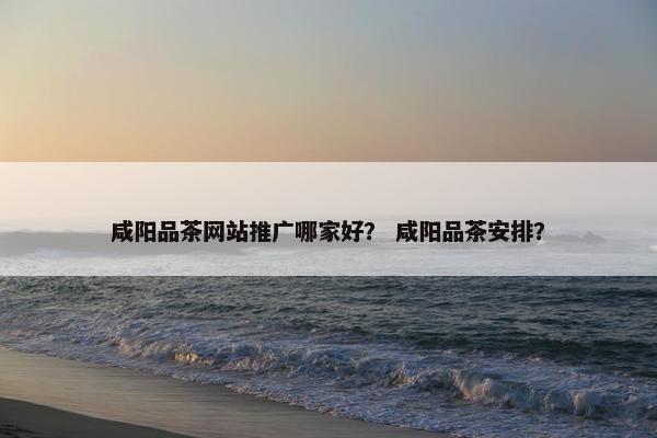 咸阳品茶网站推广哪家好？ 咸阳品茶安排？